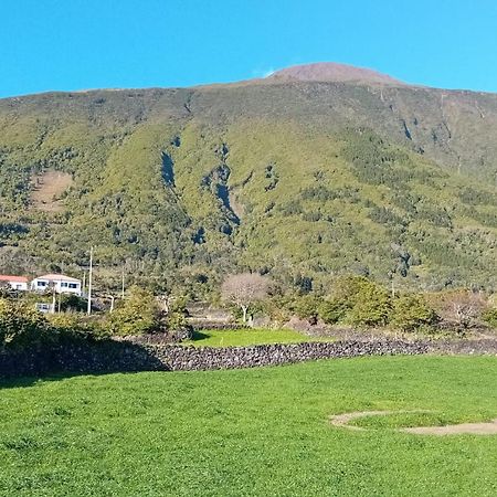 Sunflower Guest House - Madalena - Pico Sao Caetano  エクステリア 写真