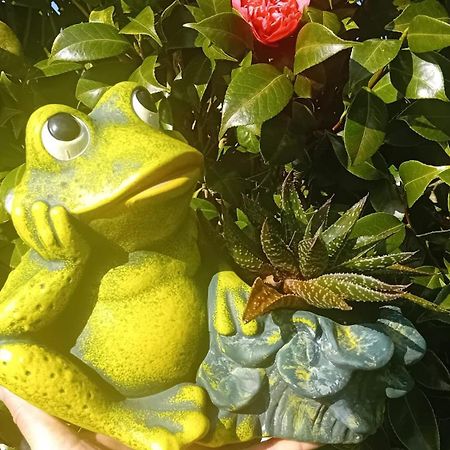Sunflower Guest House - Madalena - Pico Sao Caetano  エクステリア 写真
