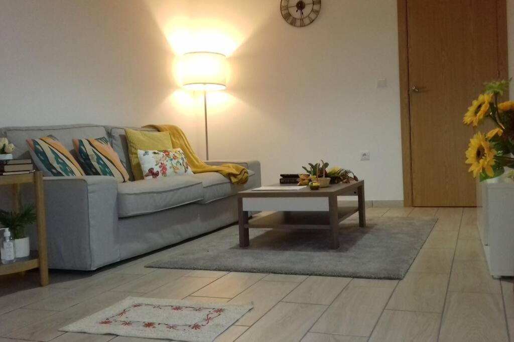 Sunflower Guest House - Madalena - Pico Sao Caetano  エクステリア 写真