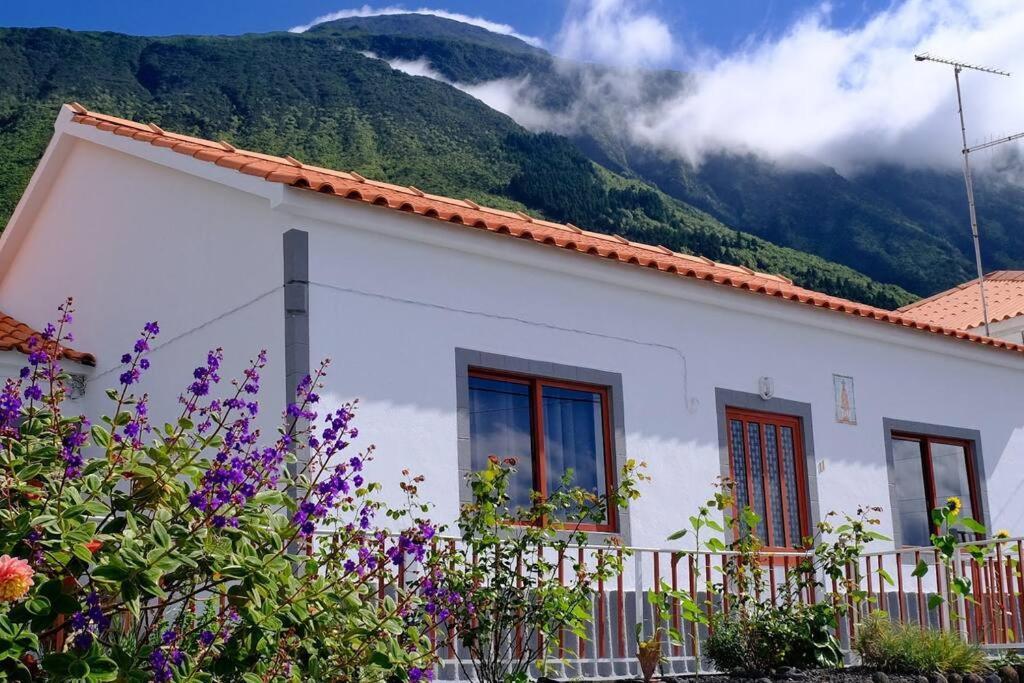Sunflower Guest House - Madalena - Pico Sao Caetano  エクステリア 写真