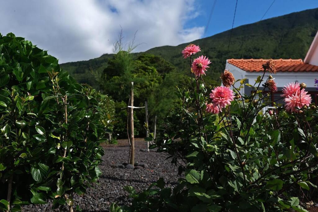 Sunflower Guest House - Madalena - Pico Sao Caetano  エクステリア 写真