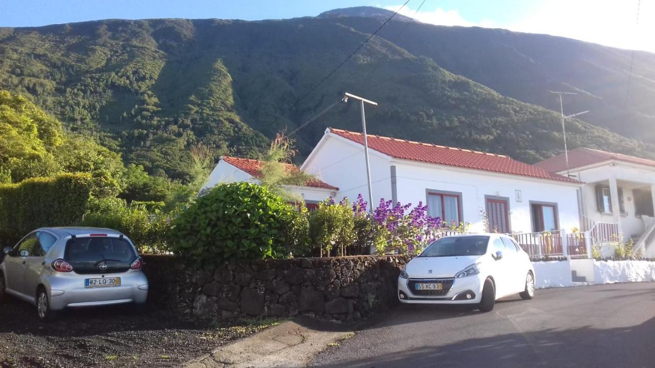 Sunflower Guest House - Madalena - Pico Sao Caetano  エクステリア 写真