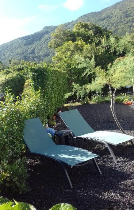 Sunflower Guest House - Madalena - Pico Sao Caetano  エクステリア 写真