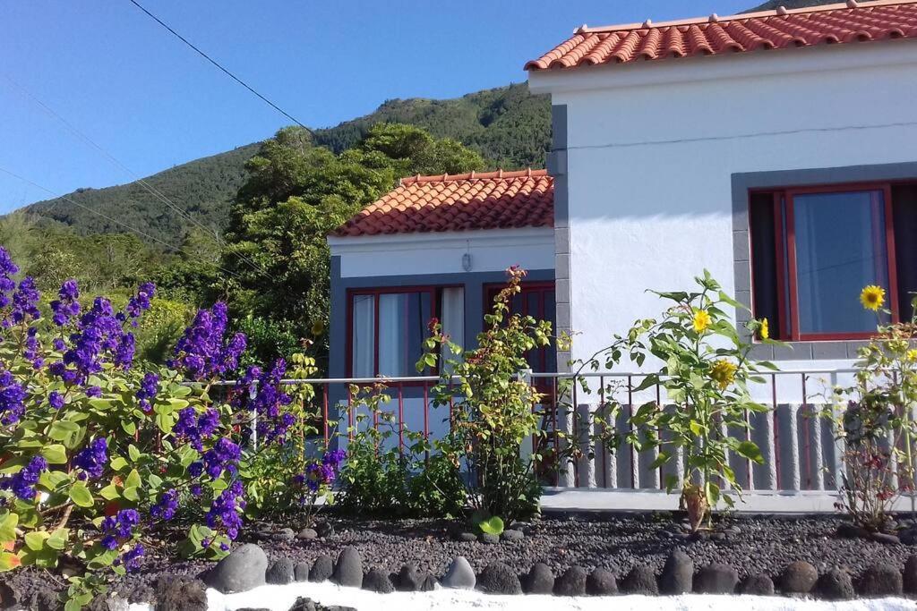 Sunflower Guest House - Madalena - Pico Sao Caetano  エクステリア 写真