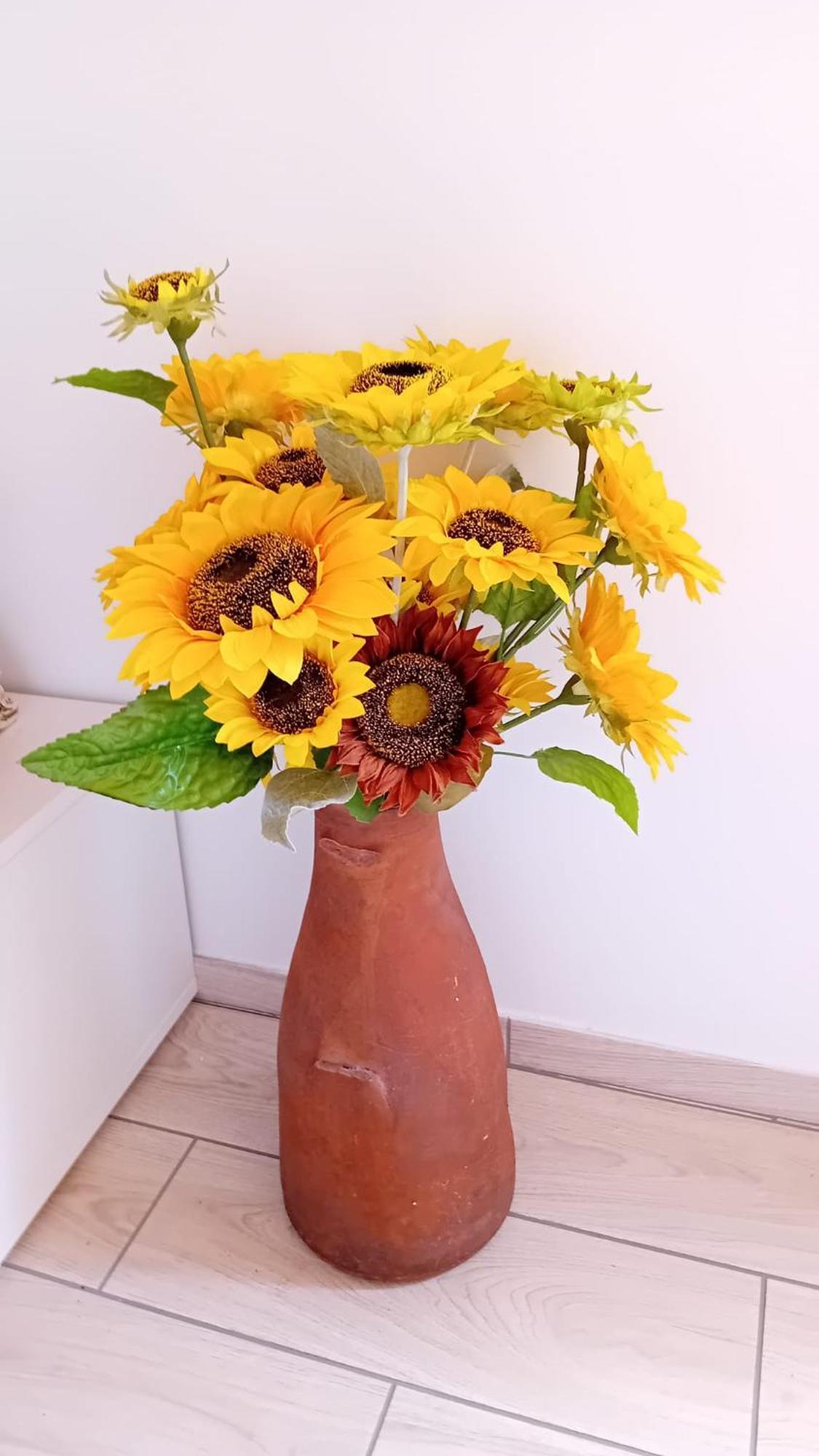 Sunflower Guest House - Madalena - Pico Sao Caetano  エクステリア 写真