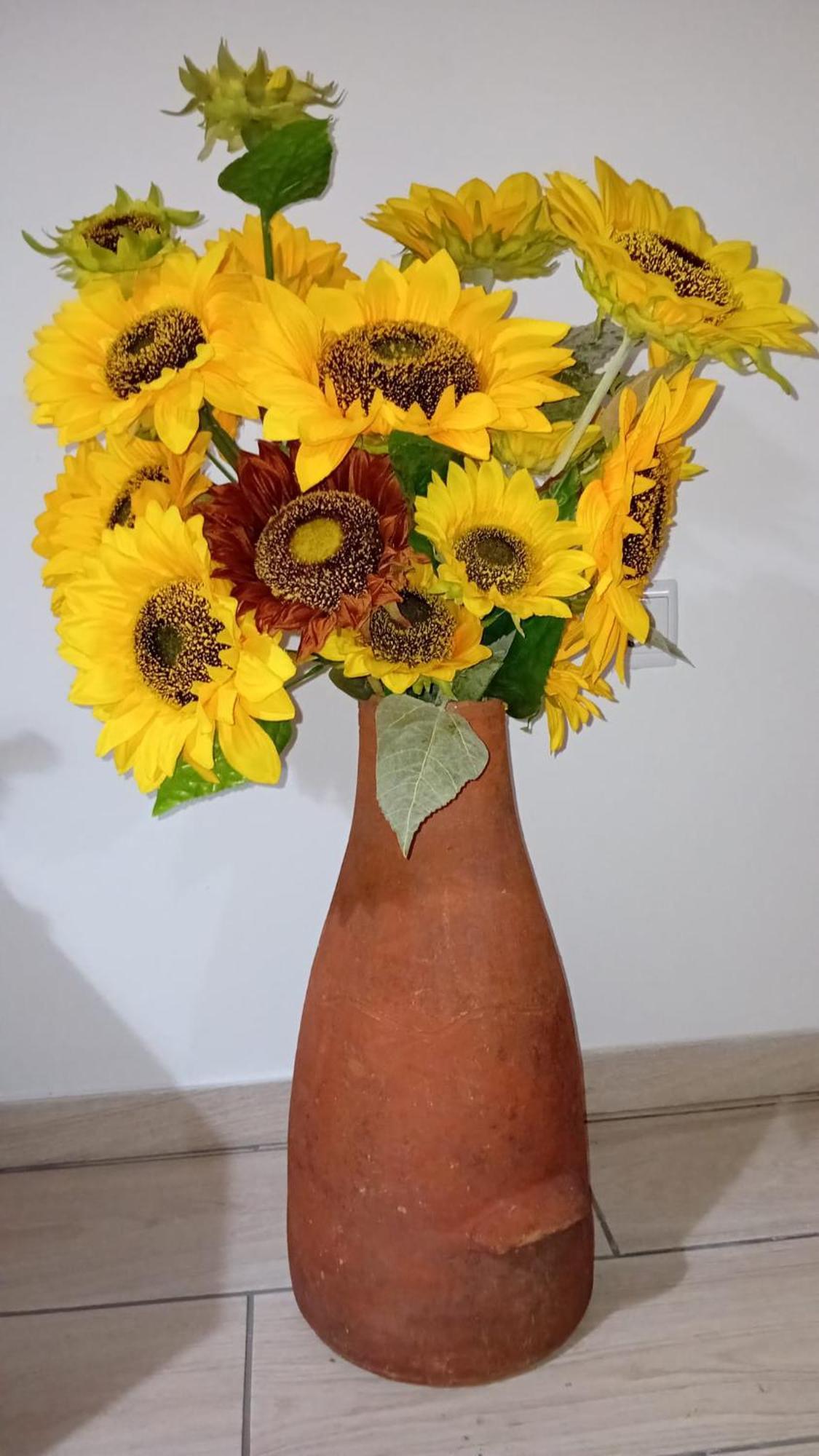 Sunflower Guest House - Madalena - Pico Sao Caetano  エクステリア 写真