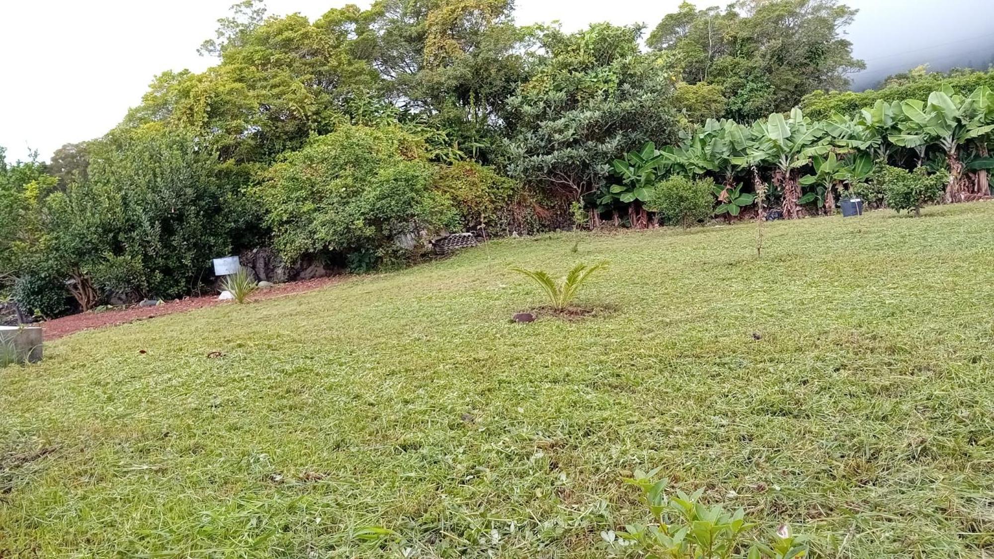 Sunflower Guest House - Madalena - Pico Sao Caetano  エクステリア 写真