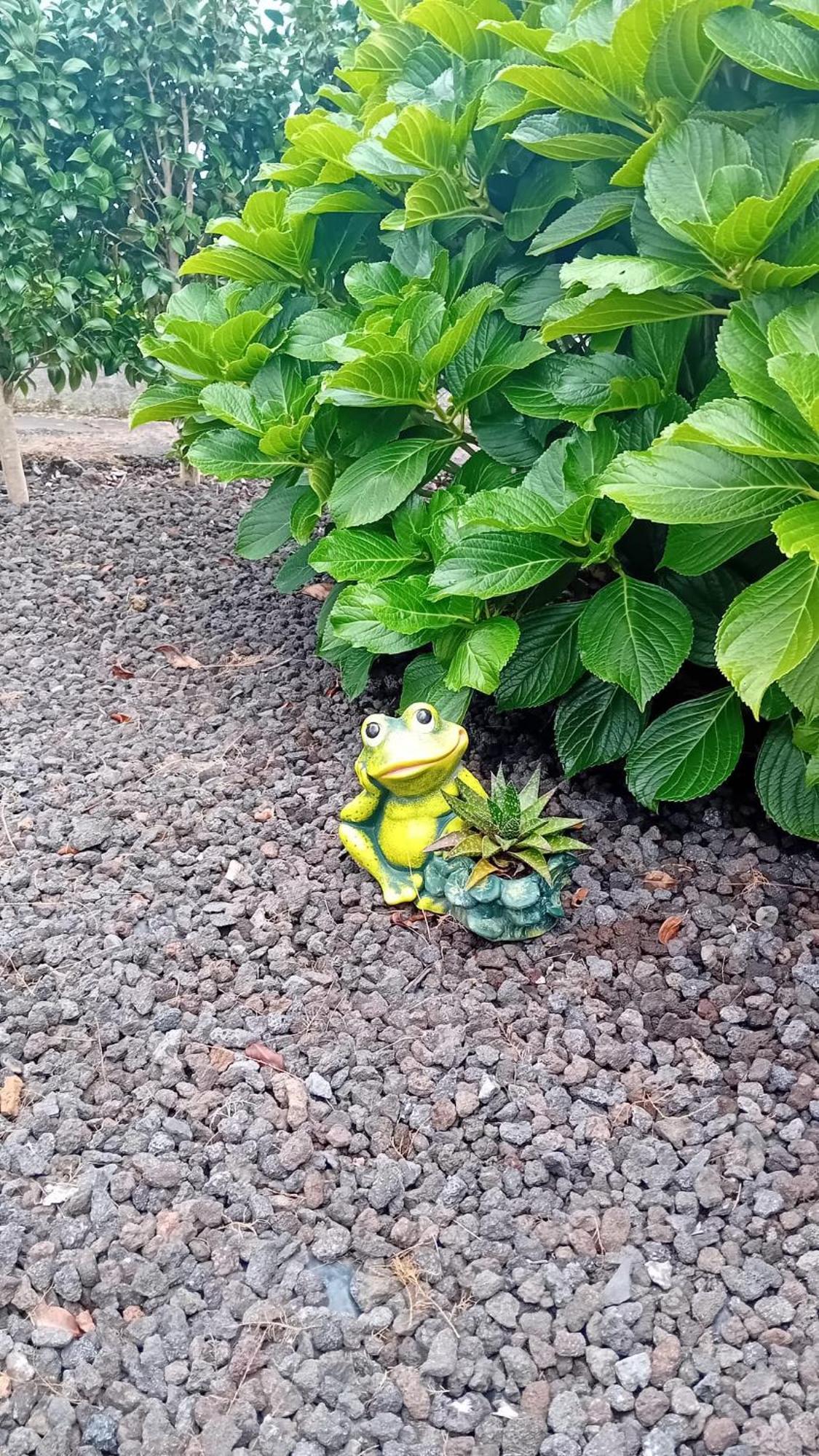 Sunflower Guest House - Madalena - Pico Sao Caetano  エクステリア 写真