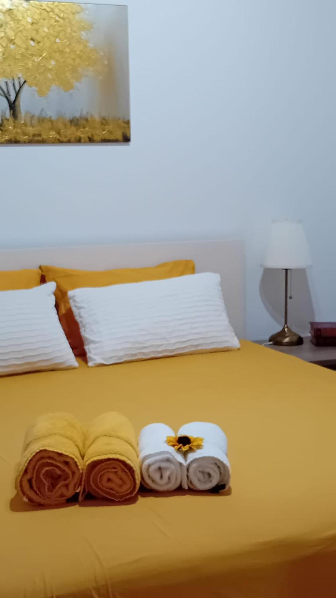 Sunflower Guest House - Madalena - Pico Sao Caetano  エクステリア 写真