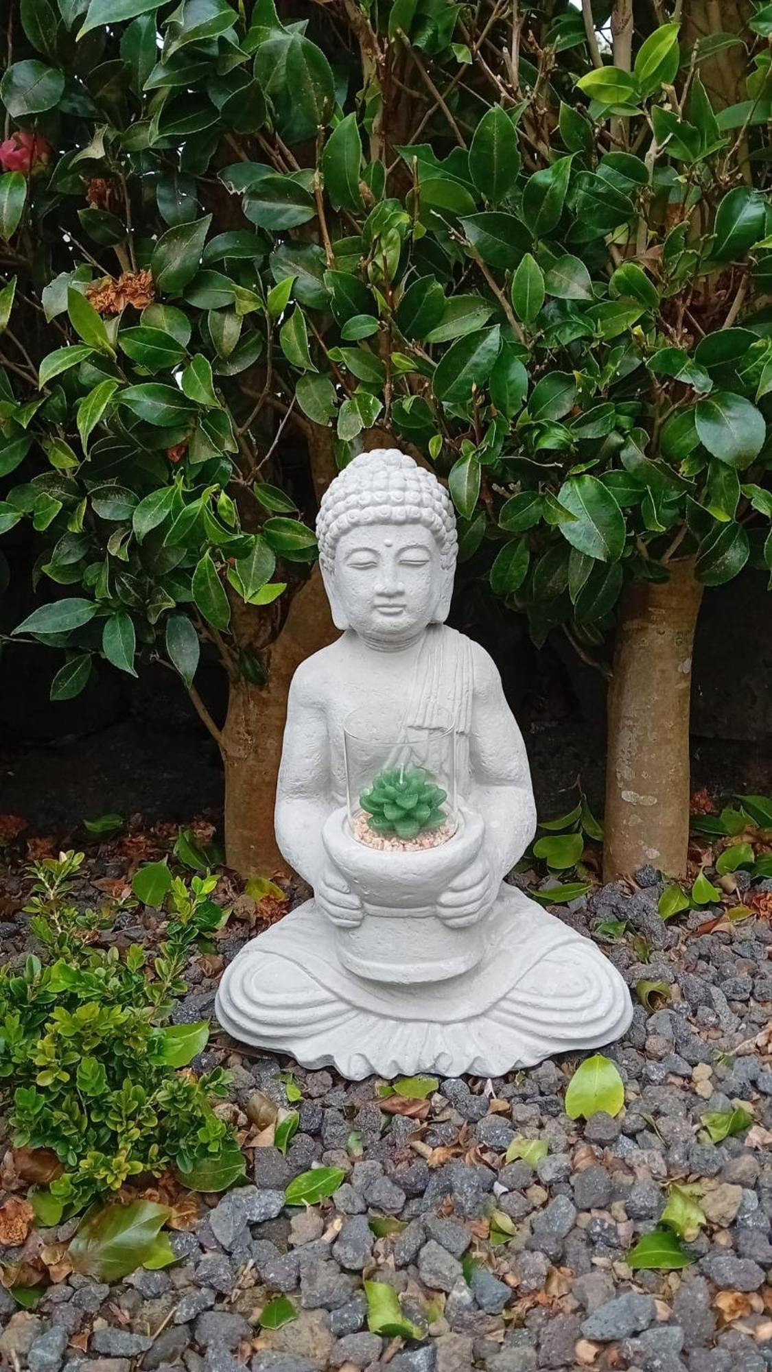 Sunflower Guest House - Madalena - Pico Sao Caetano  エクステリア 写真