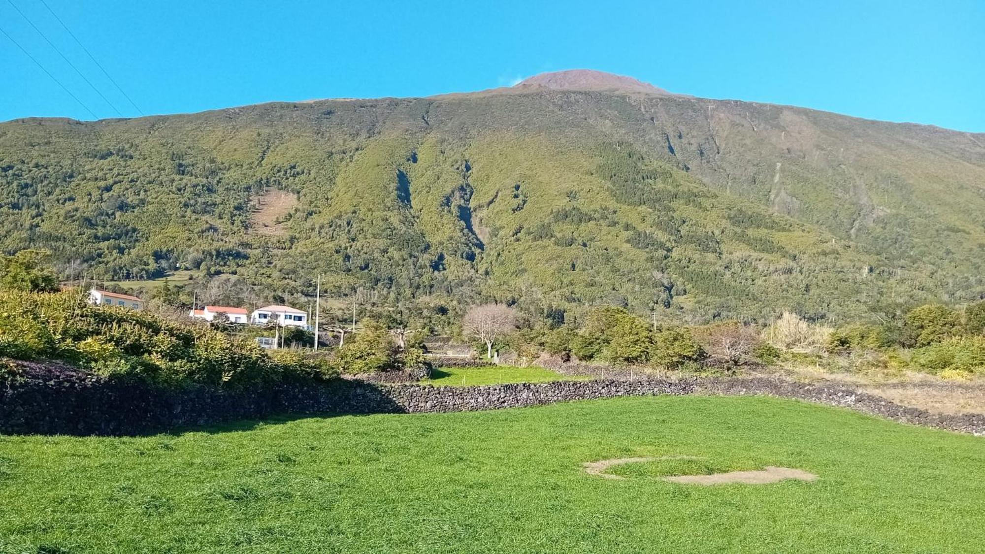 Sunflower Guest House - Madalena - Pico Sao Caetano  エクステリア 写真
