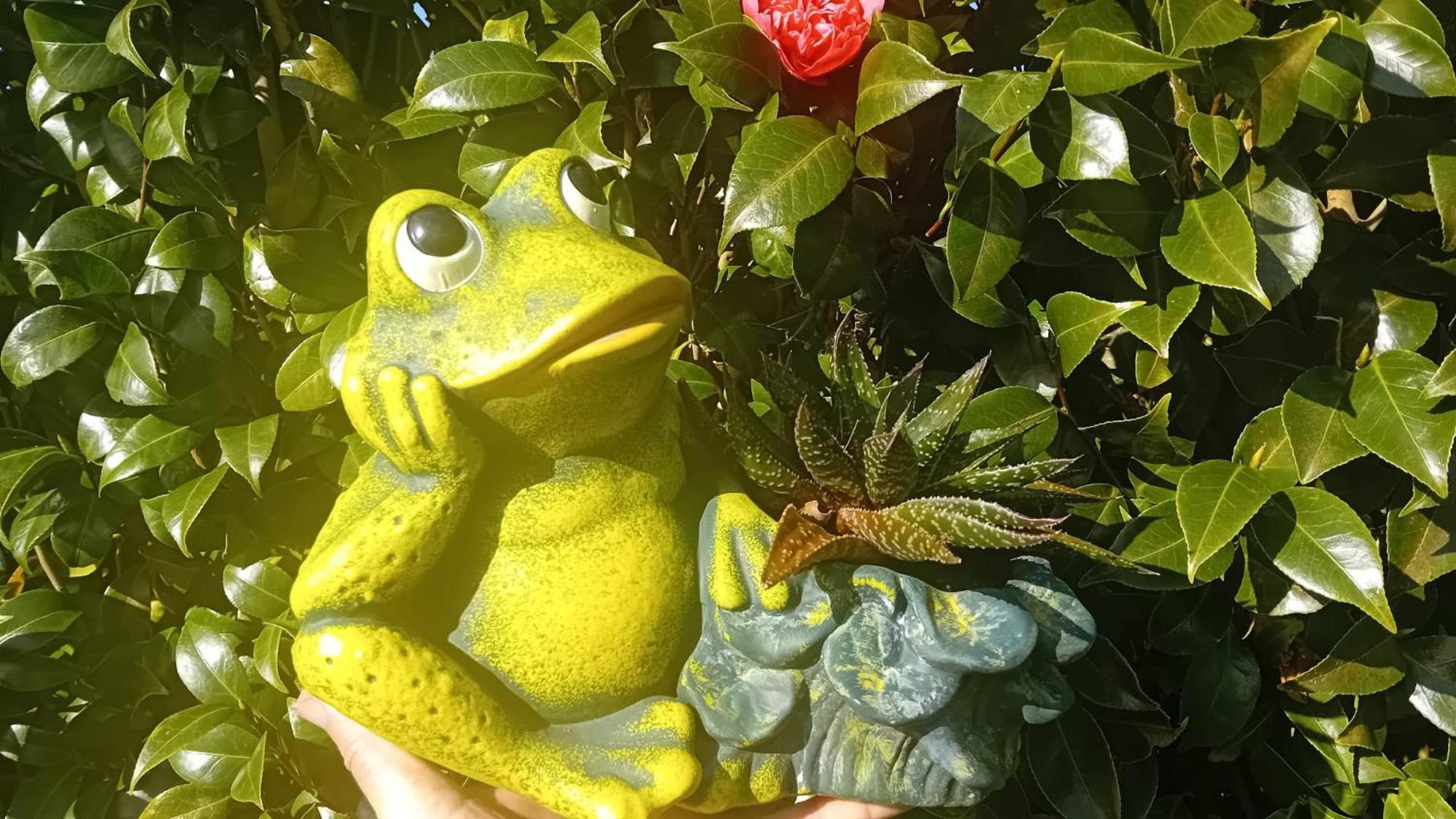 Sunflower Guest House - Madalena - Pico Sao Caetano  エクステリア 写真